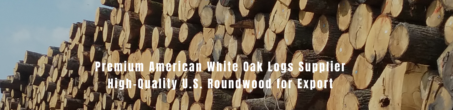 Premium American White Oak Logs Supplier – High-Quality U.S. Roundwood for Export