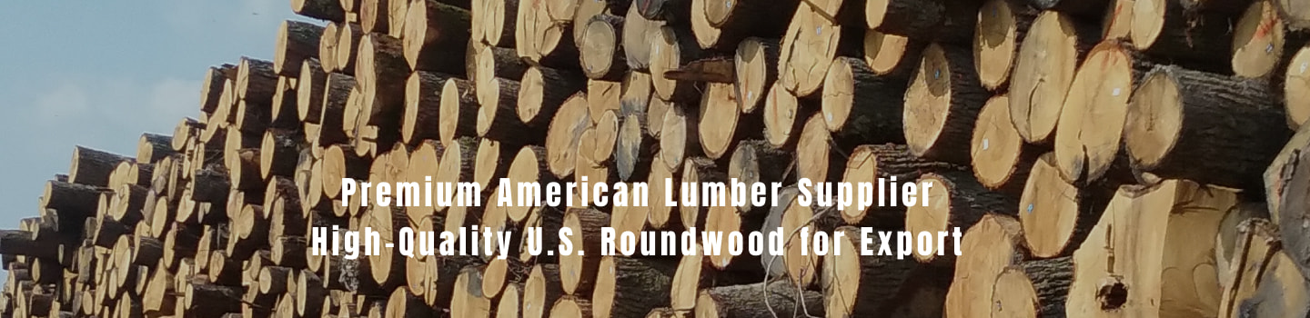 Premium American Lumber Supplier – High-Quality U.S. Roundwood for Export